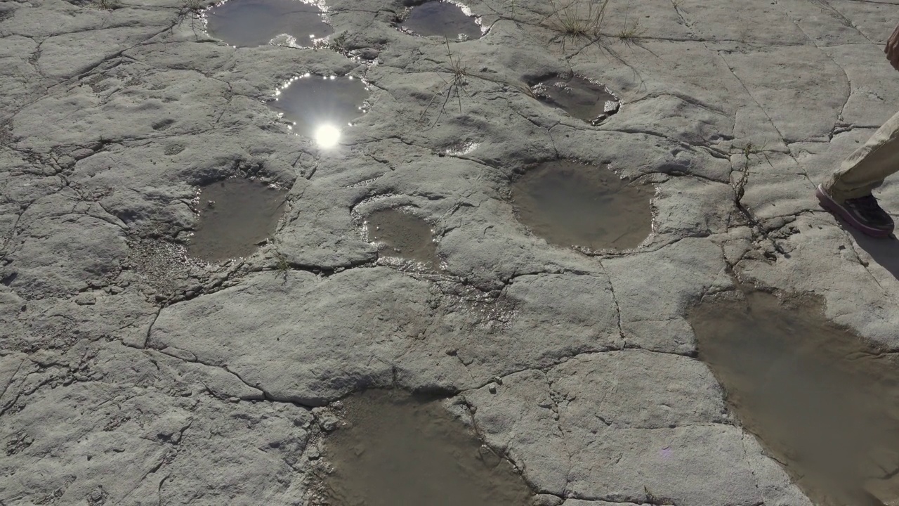 一名女子在科罗拉多Picket Wire峡谷地探索新发现的充满雨水的恐龙足迹视频素材