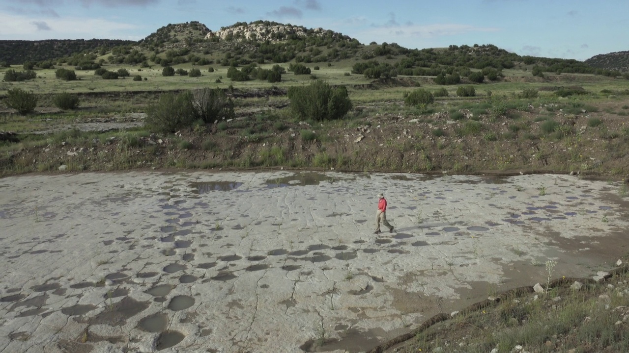 一名女子在科罗拉多Picket Wire峡谷地探索新发现的充满雨水的恐龙足迹视频素材