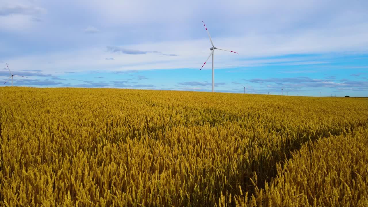 在黄色的小麦山丘上的农业农场，旋转的大型风车涡轮机产生可再生能源视频素材