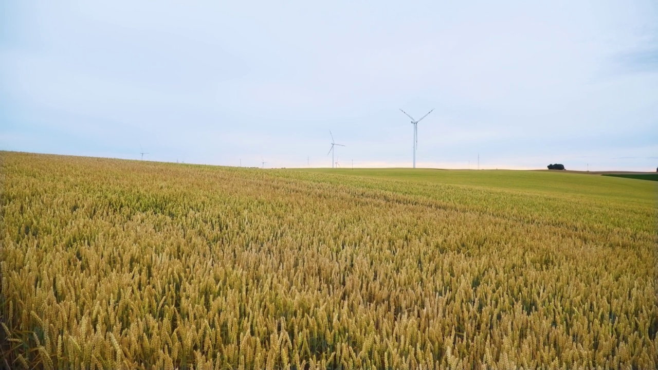大片农田，在平坦的农田上用风车发电视频素材
