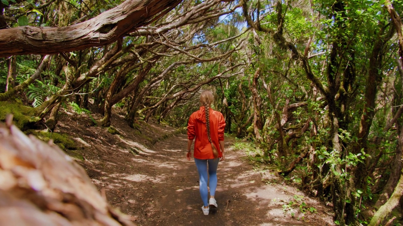 美丽的女孩徒步在月桂树林。雨林，Pico del Ingles, wood Merscdes, Anaga, Tenerife。视频素材