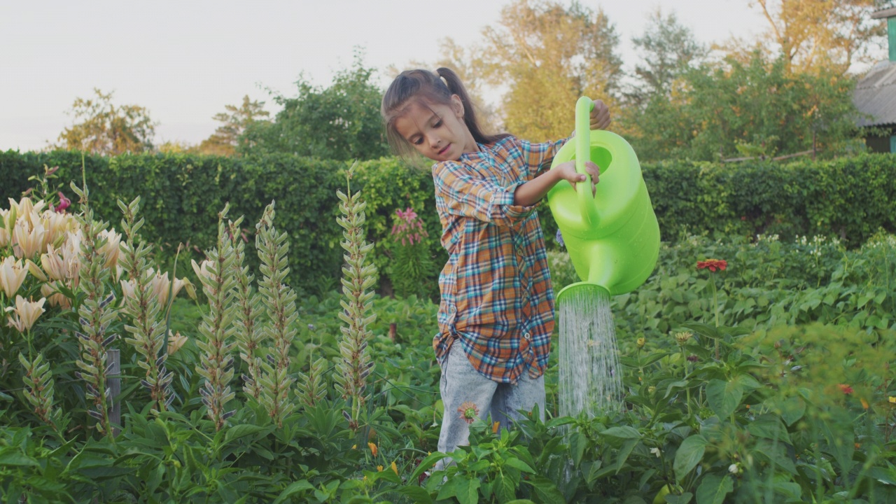 快乐微笑的小女孩浇水，爱护花草，在大自然中学习环境视频素材