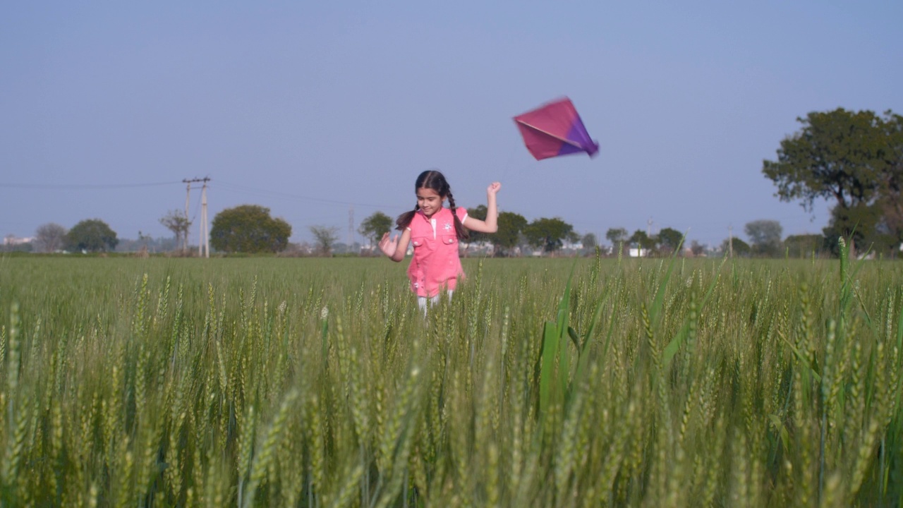 一个穿着休闲服装的印度小女孩在一个绿色的农场放风筝，Makar Sankranti视频素材