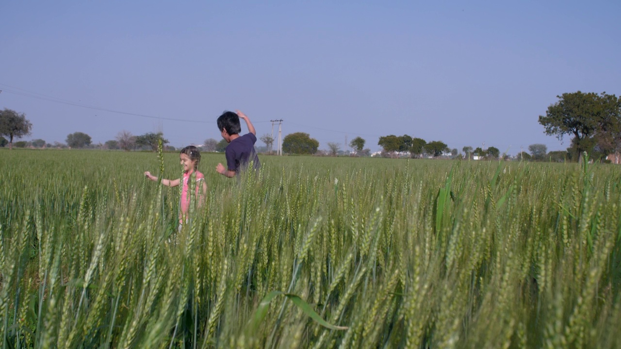农夫可爱的儿子和女儿在农田里奔跑玩耍视频素材