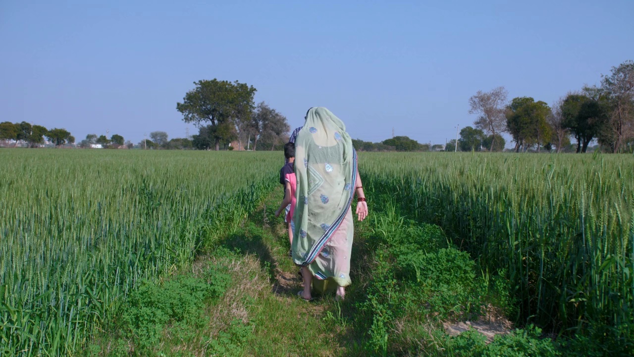 一个印度村庄的印度家庭正在穿过他们的麦田——印度农业，农村家庭视频素材