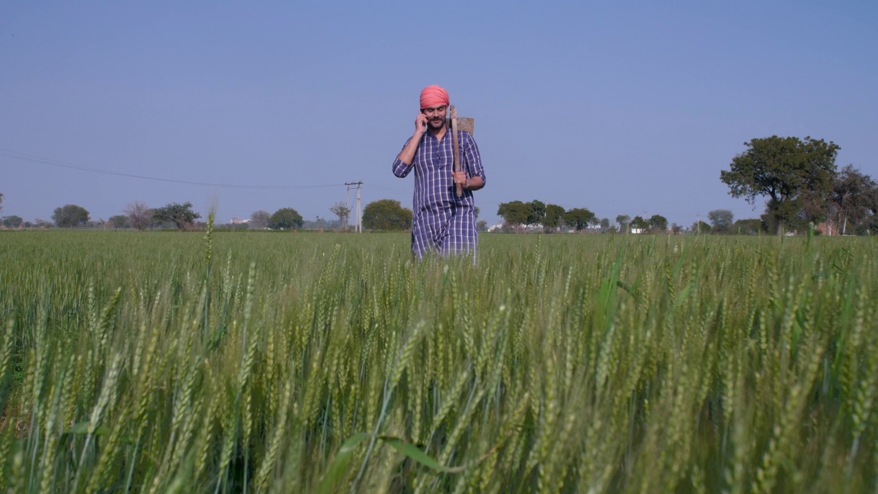 一位英俊的大胡子农民在他的绿色农田里愉快地用手机聊天——现代村民视频素材