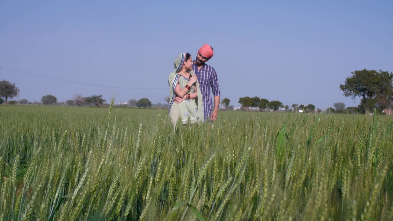 年轻浪漫的乡村夫妇在他们的农田-乡村丈夫的妻子在麦田-印度农民夫妇，团聚和结合视频素材