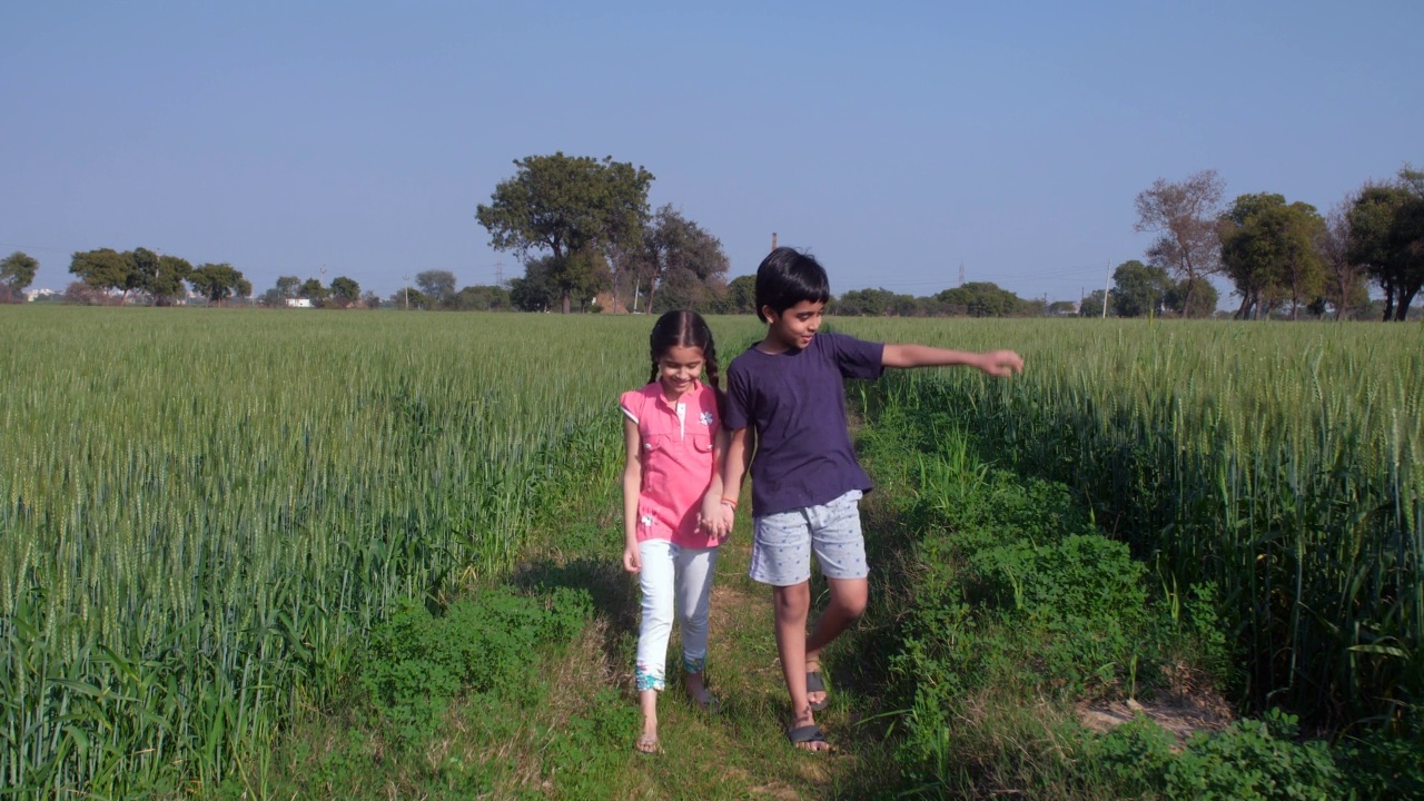 年轻微笑的孩子从农村家庭漫游在他们的稻田-印度农业，村庄的生活方式视频素材