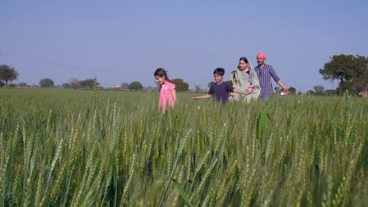 一个欢快的乡村家庭在他们的农田里一起玩耍——家庭时间，家庭纽带视频素材