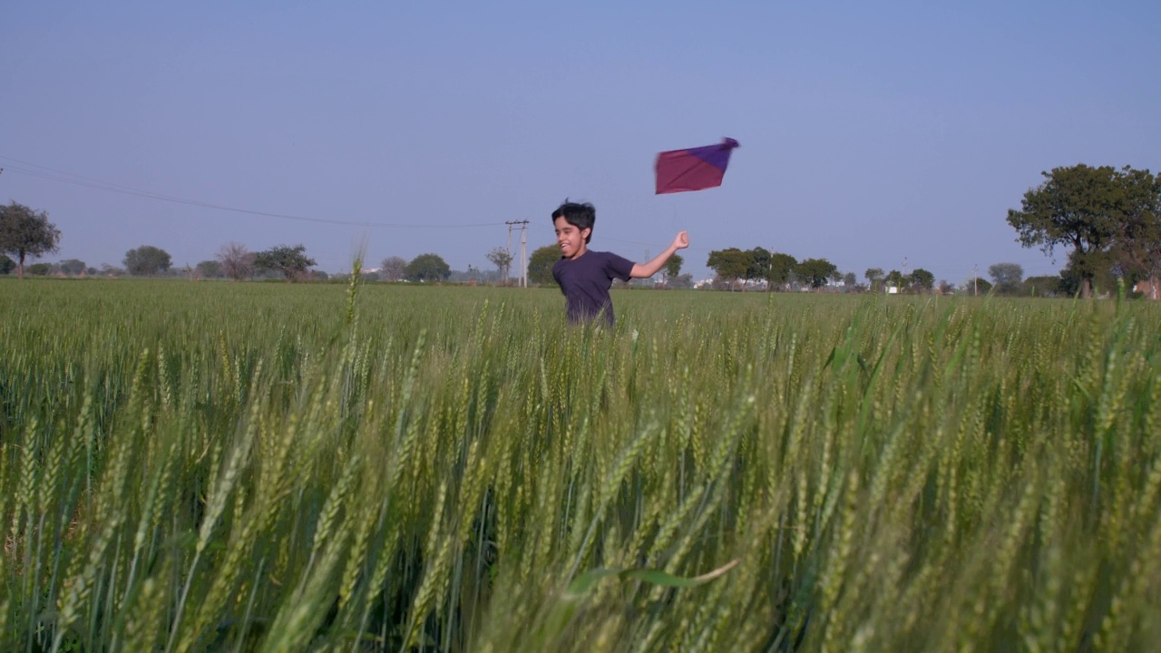 一个来自村庄的小学生喜欢在他的农田里玩风筝——Makar Sankranti，风筝放飞比赛视频素材