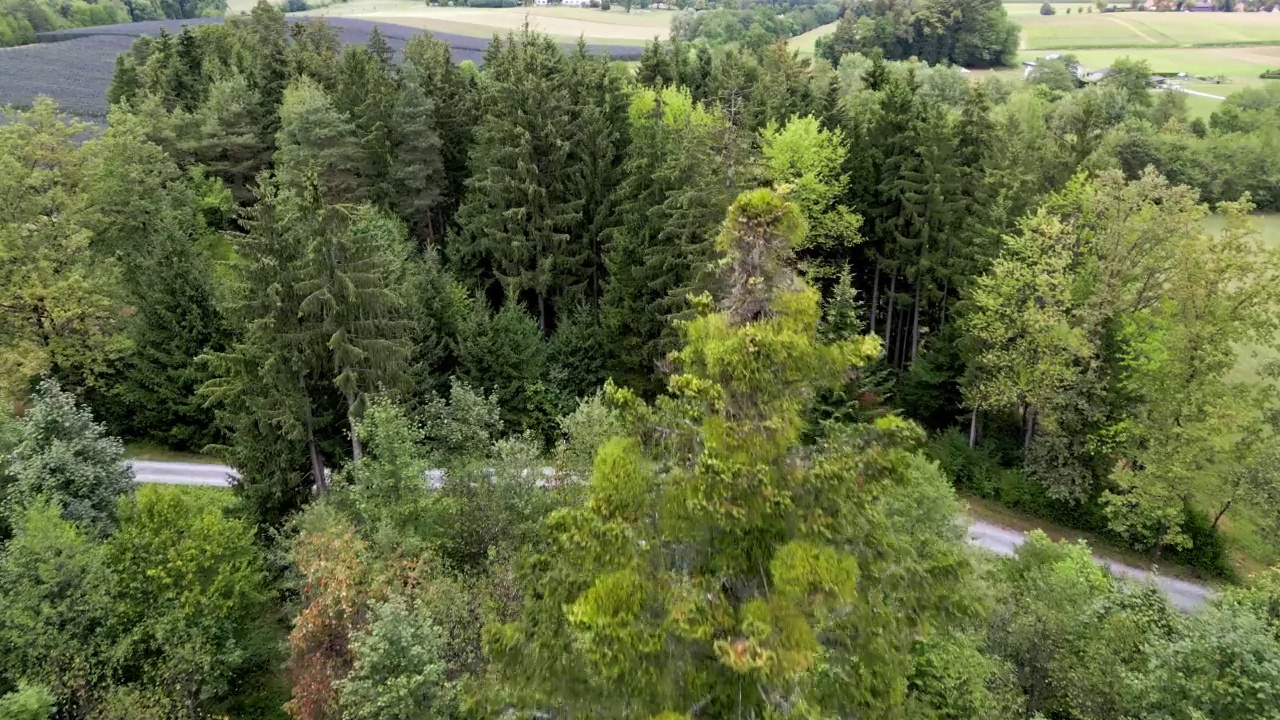乡村森林的鸟瞰图视频下载
