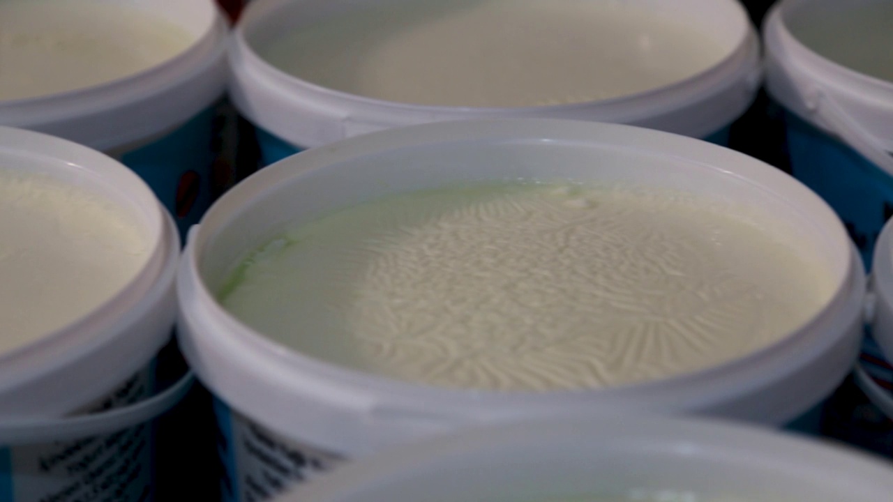 工厂生产的酸奶包装工艺。视频下载