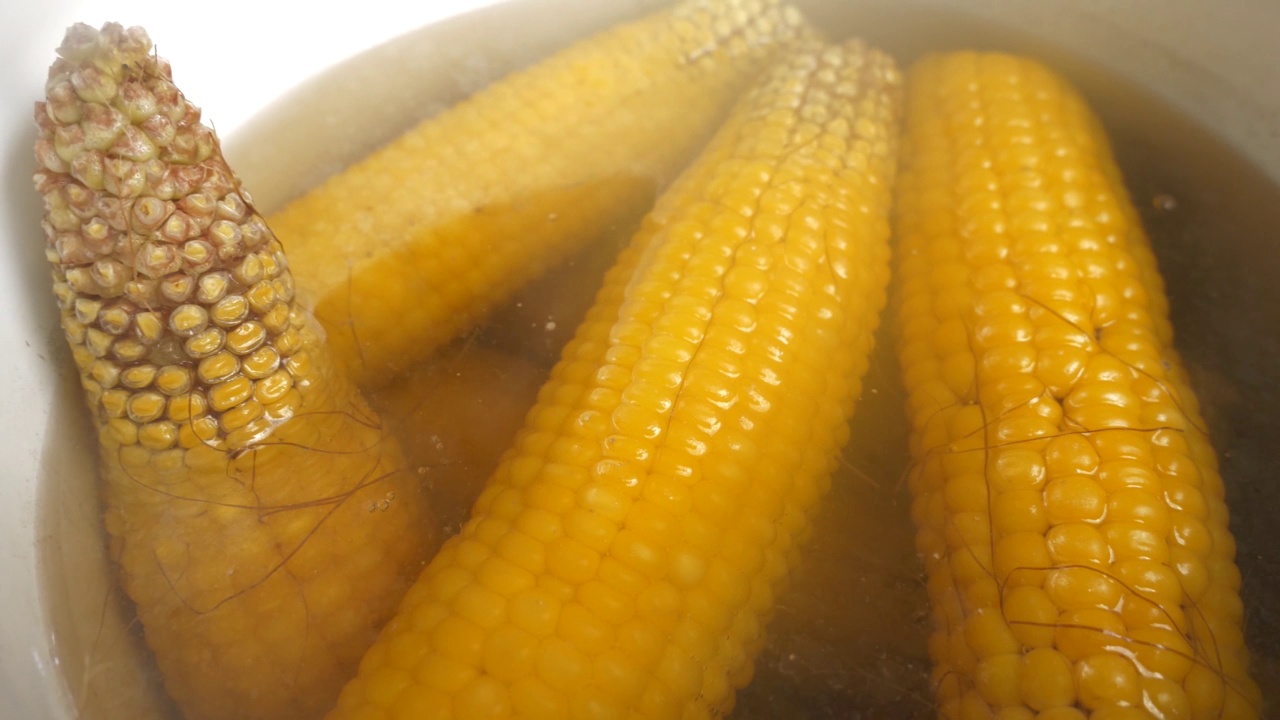 煮熟的玉米在一锅蒸水里冒着热气视频素材