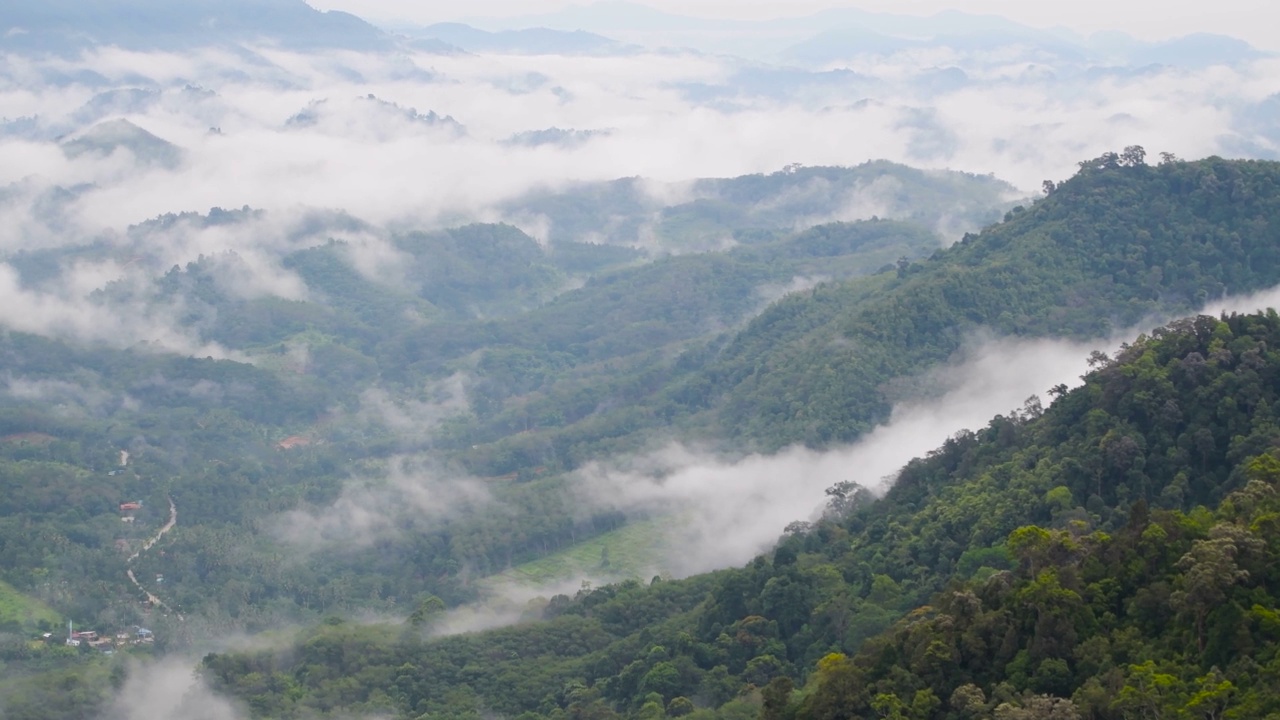 清晨的热带雨林，雾和薄雾笼罩着高山视频素材