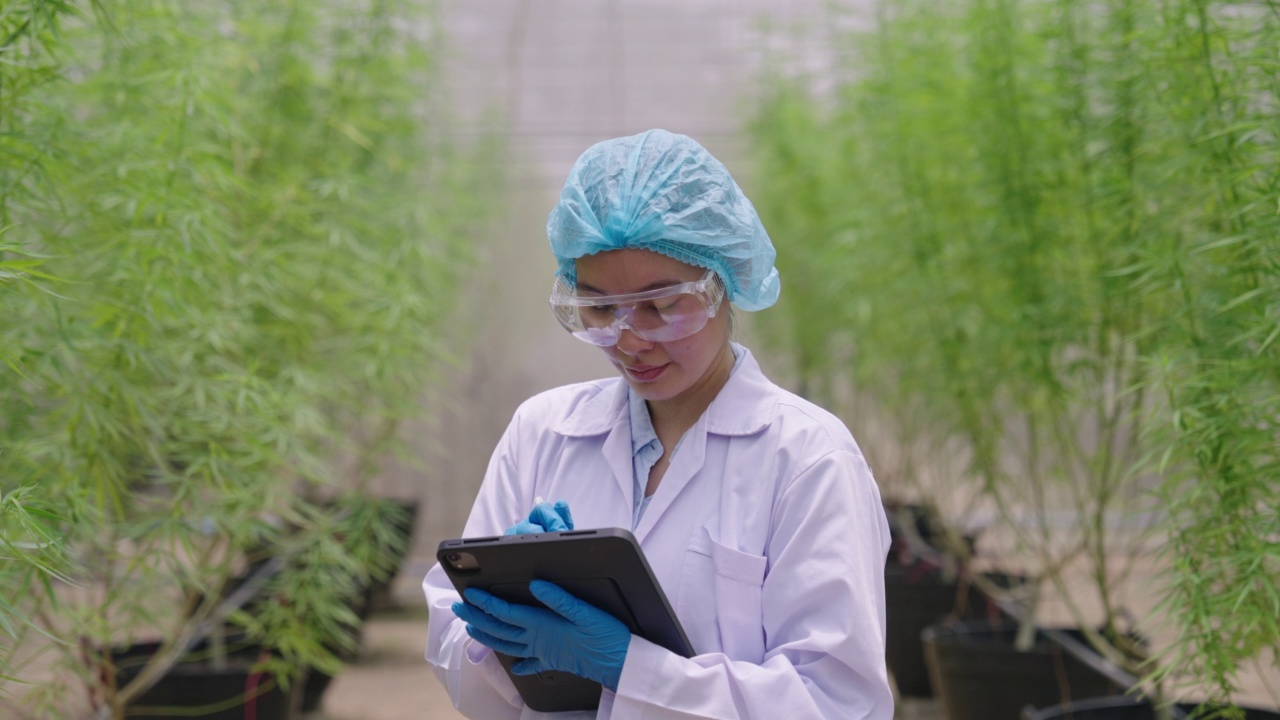 一名女性农业研究人员的肖像在温室视频素材