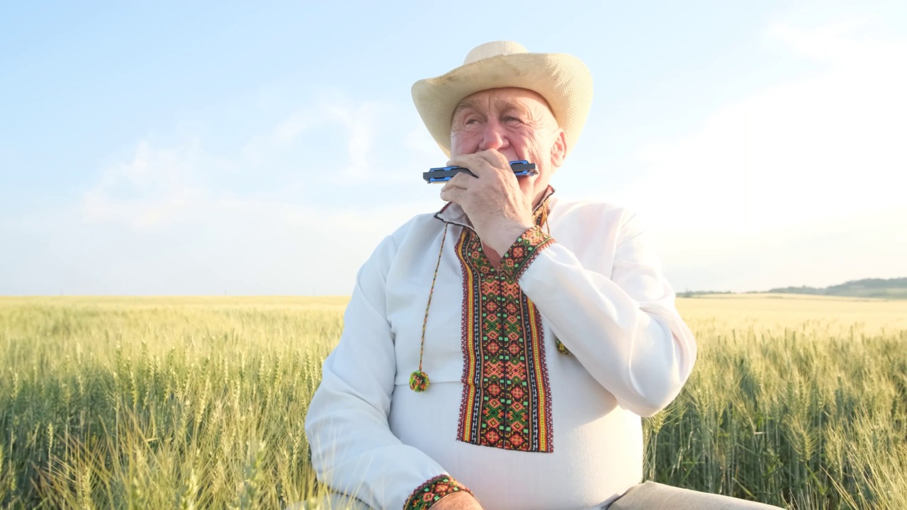 身穿绣花夹克的乌克兰老人在麦田中间吹口琴。视频下载