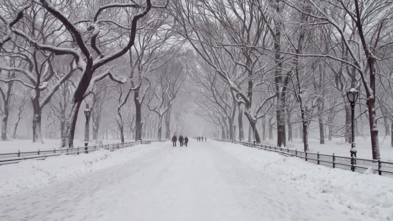 人们在雪地里走在中央公园购物中心上视频素材