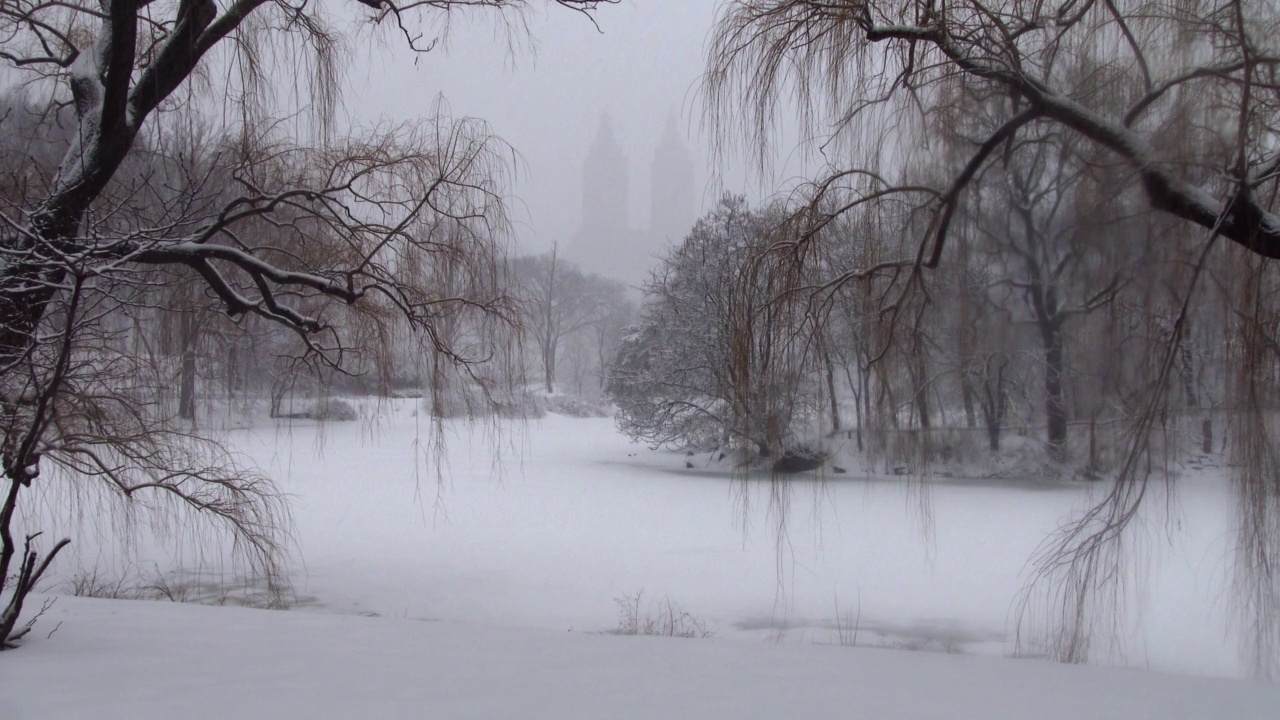 中央公园的湖中有雪有树视频素材