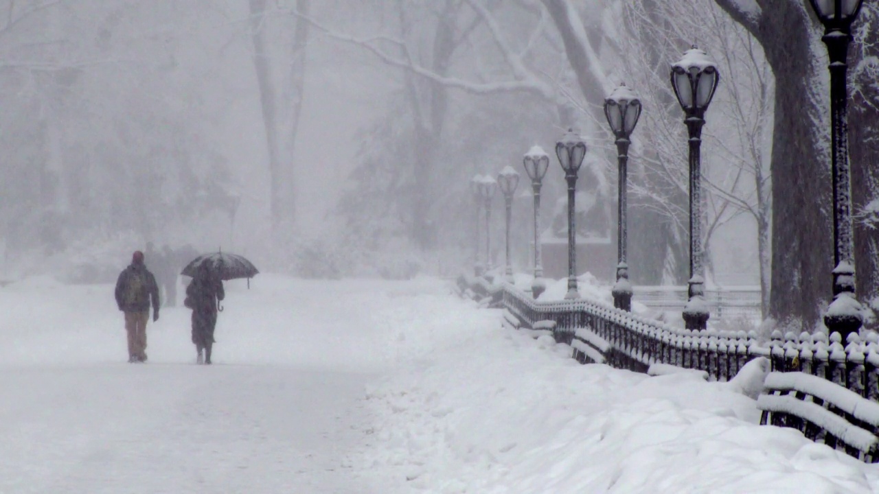 一对夫妇在中央公园的雪地里散步视频素材