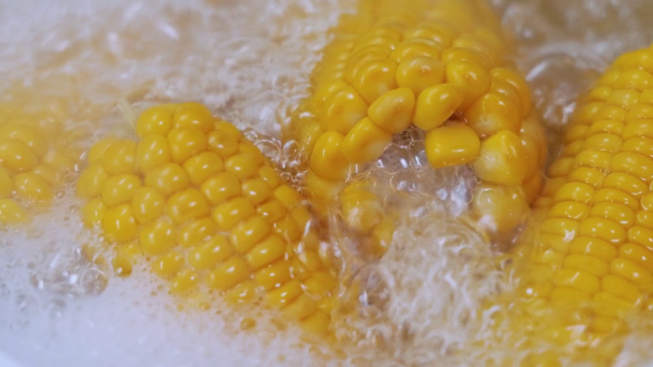 把玉米棒放在开水里煮。玉米已成为世界许多地区的主食，玉米的总产量超过了小麦和水稻。视频素材