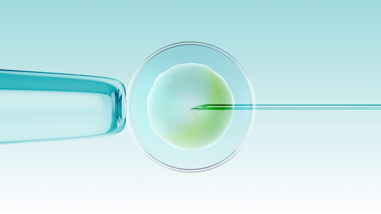 体外受精:卵子与精子的体外受精视频素材