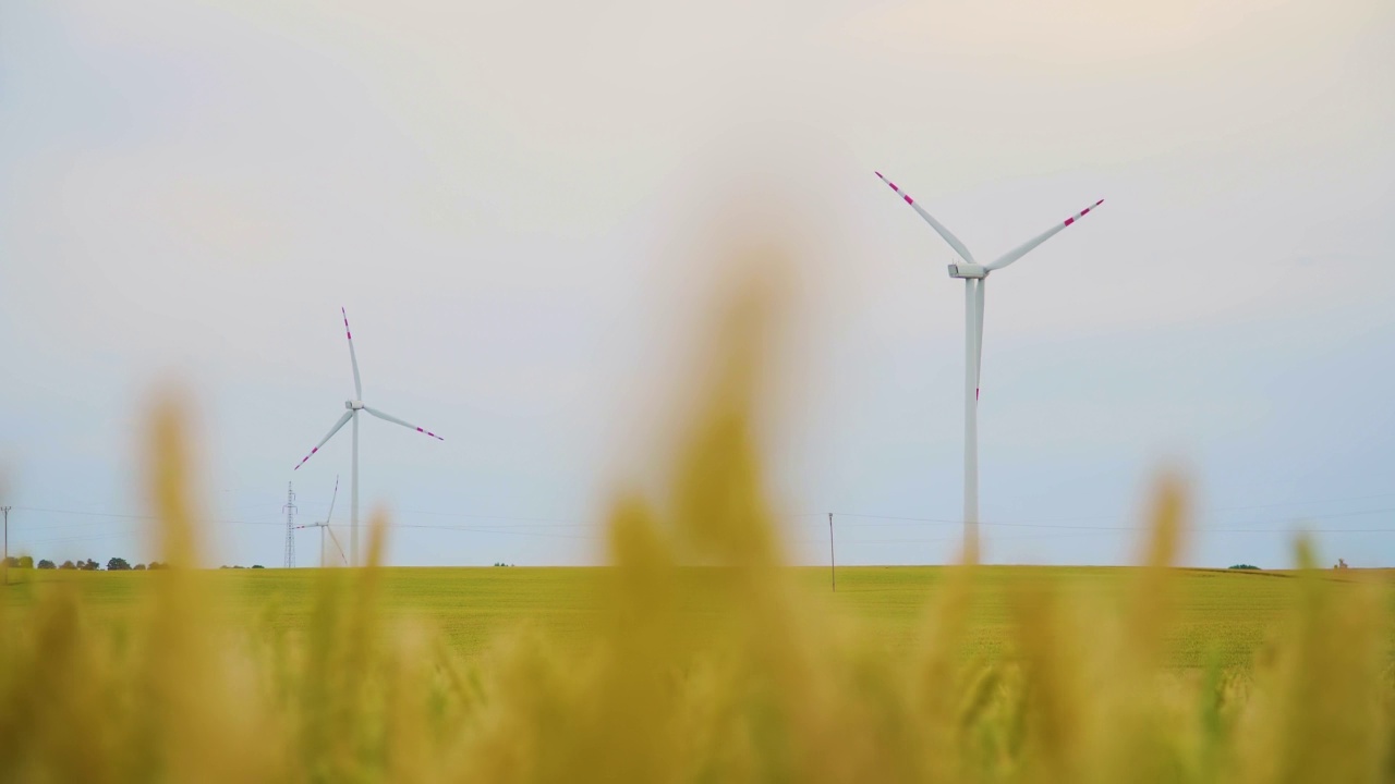 风力带动风车旋转，产生清洁的可再生能源，实现纯生态的可持续发展视频素材