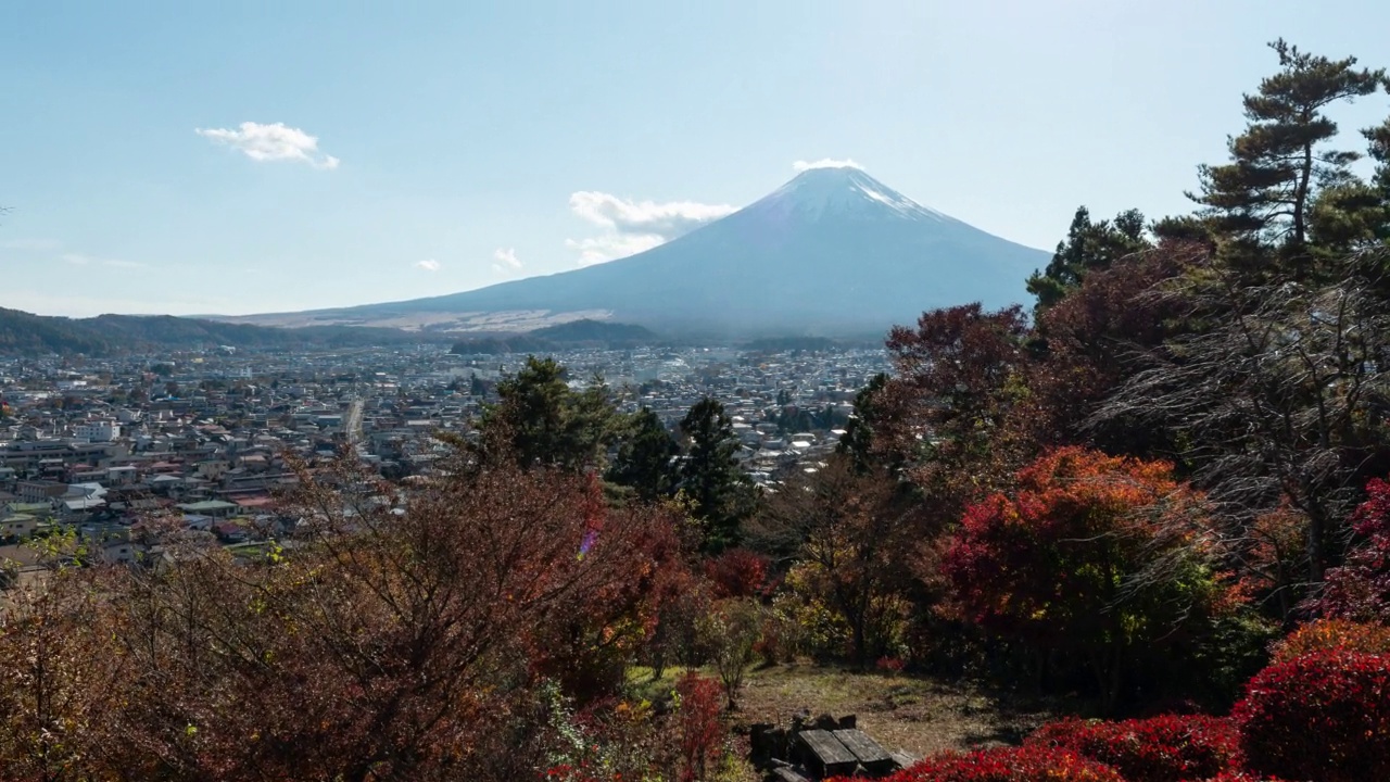 秋天的富士山，放大视频下载