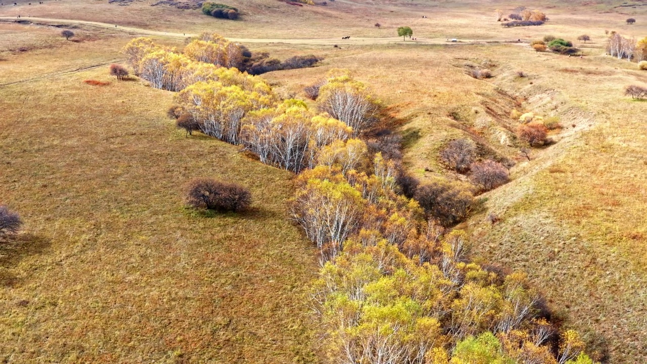内蒙古彩色森林和山地自然景观鸟瞰图视频素材