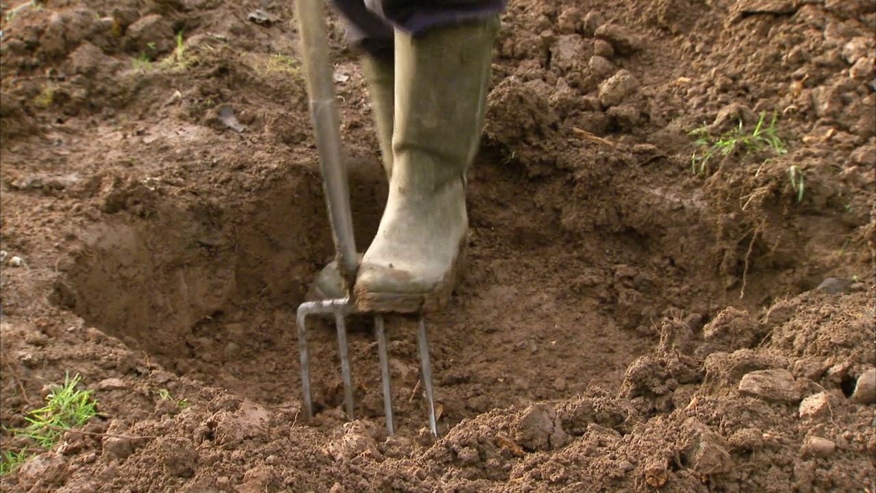 园丁使用园艺叉子在土壤槽，英国视频下载