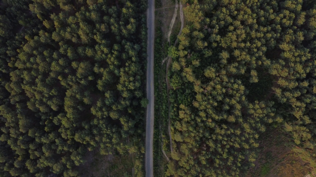 鸟瞰图飞过一条土质森林道路，两旁绿树成荫，密林丛生。松林。前视图。用无人机拍摄的四轴直升机鸟瞰视角。视频素材