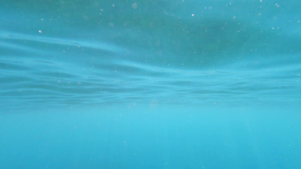 水下视频素材