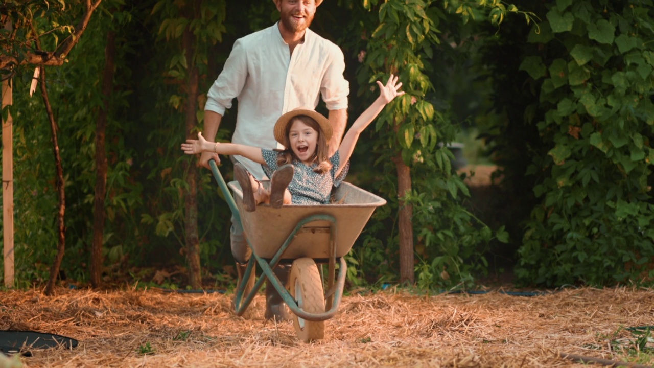 戴着草帽的快乐大胡子男人推着一辆车，车上有一个小女孩。父亲和女儿一起在花园里享受夏天的周末。缓慢的运动。园艺的概念视频下载