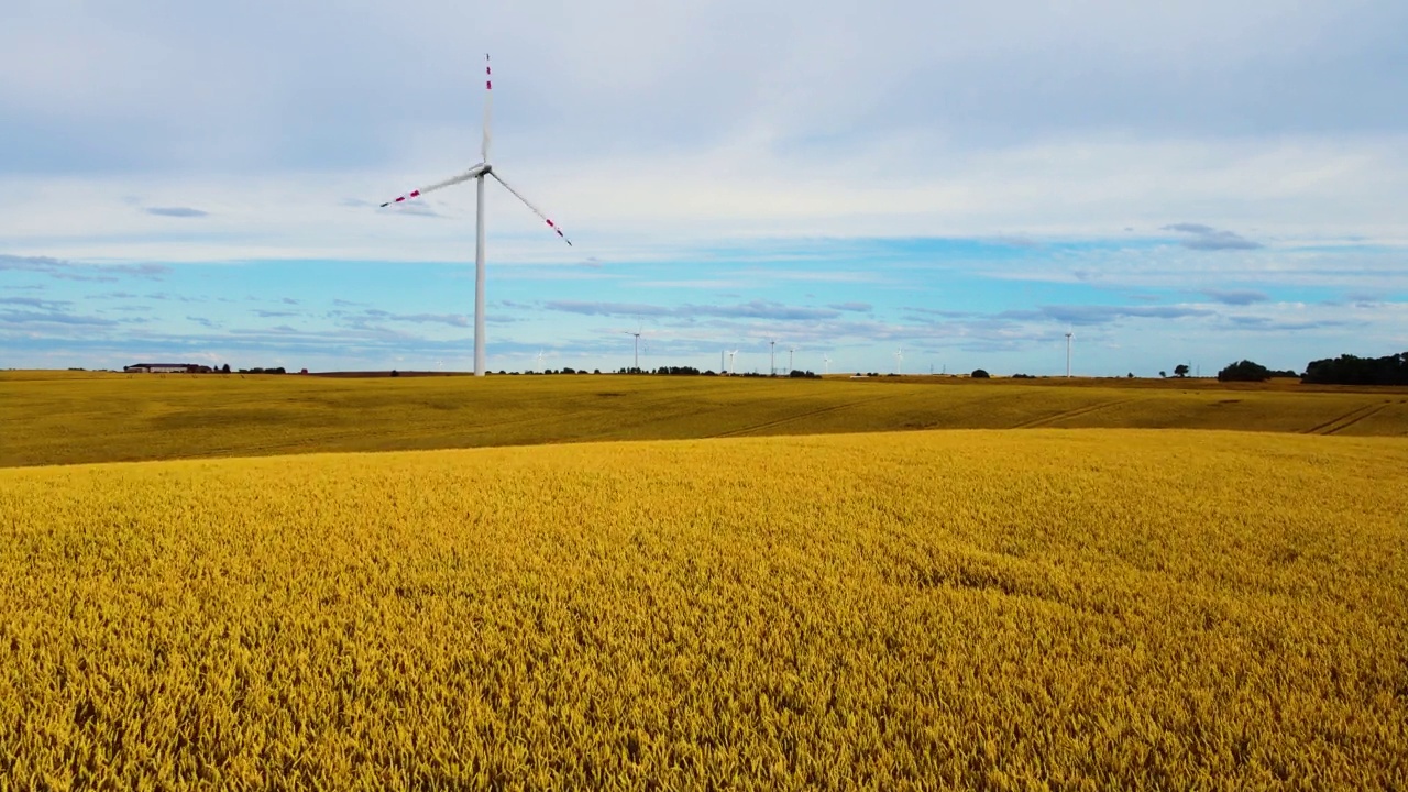 鸟瞰农田，风力涡轮机矗立在麦田上视频素材