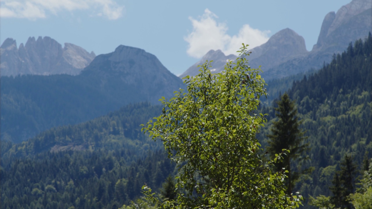 奥地利萨尔茨堡的美丽山景和树木视频下载