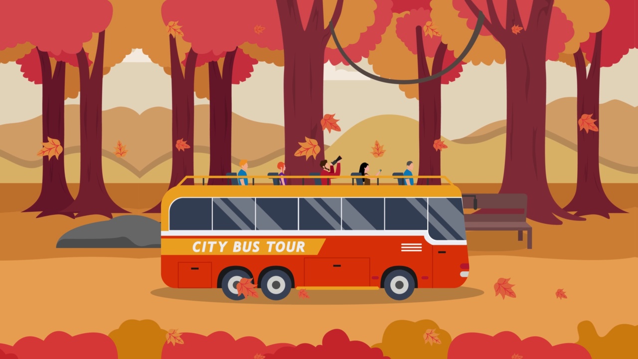 城市巴士观光经过附近的秋天公园视频素材
