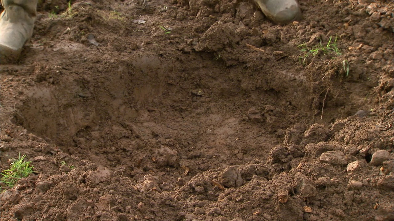 用铲子铲掉周围的土壤和堆肥视频下载