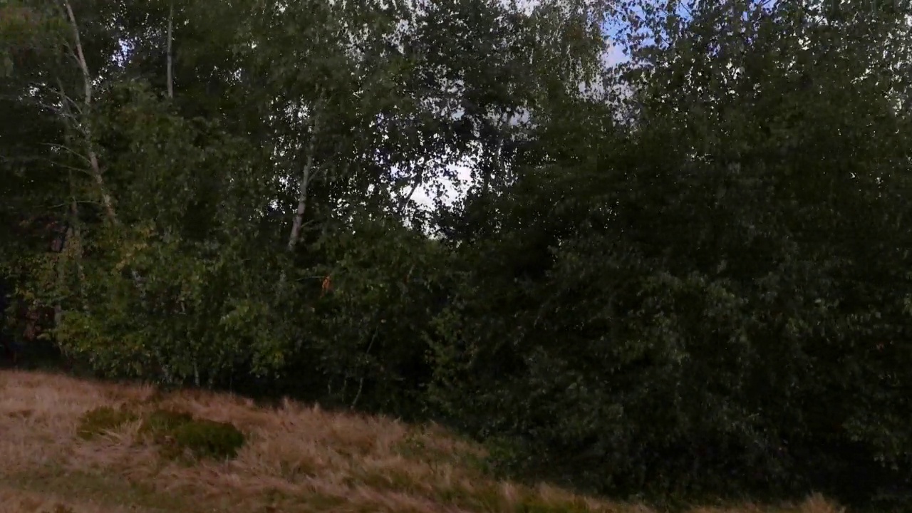 越野车在秋天的喀尔巴阡山脉行驶视频素材
