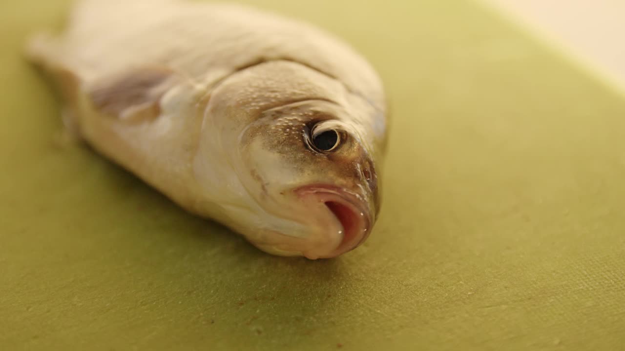一个特写的鲫鱼躺在厨房的砧板上。视频下载