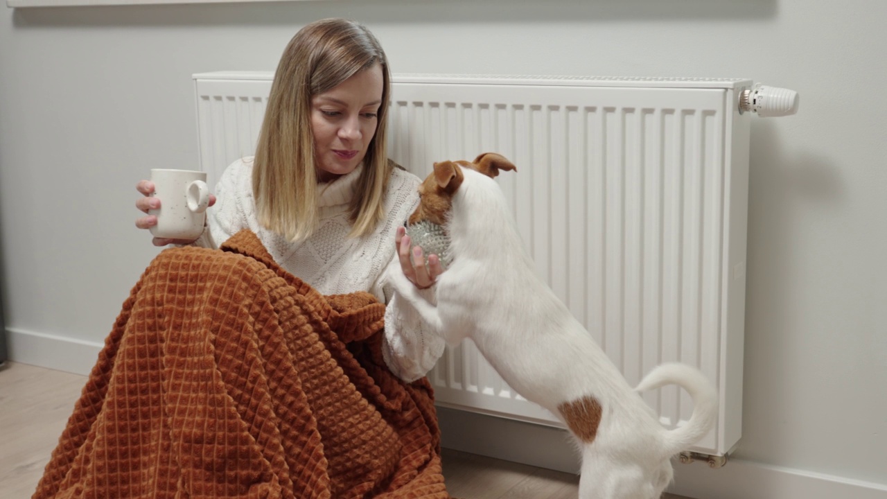 忧心忡忡的妇女和她的狗坐在暖气片旁边，毯子下面视频素材