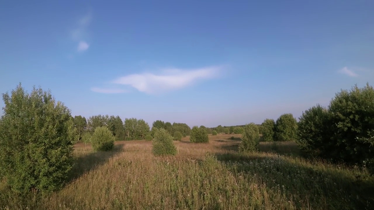 FPV在日落时飞越森林草地视频素材