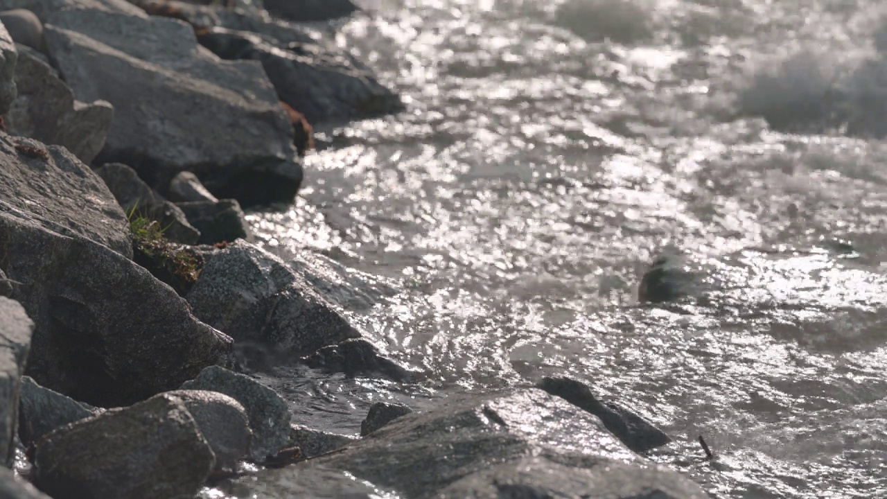 湍急的春河流过石头，照亮了岸边的岩石，特写细节视频素材