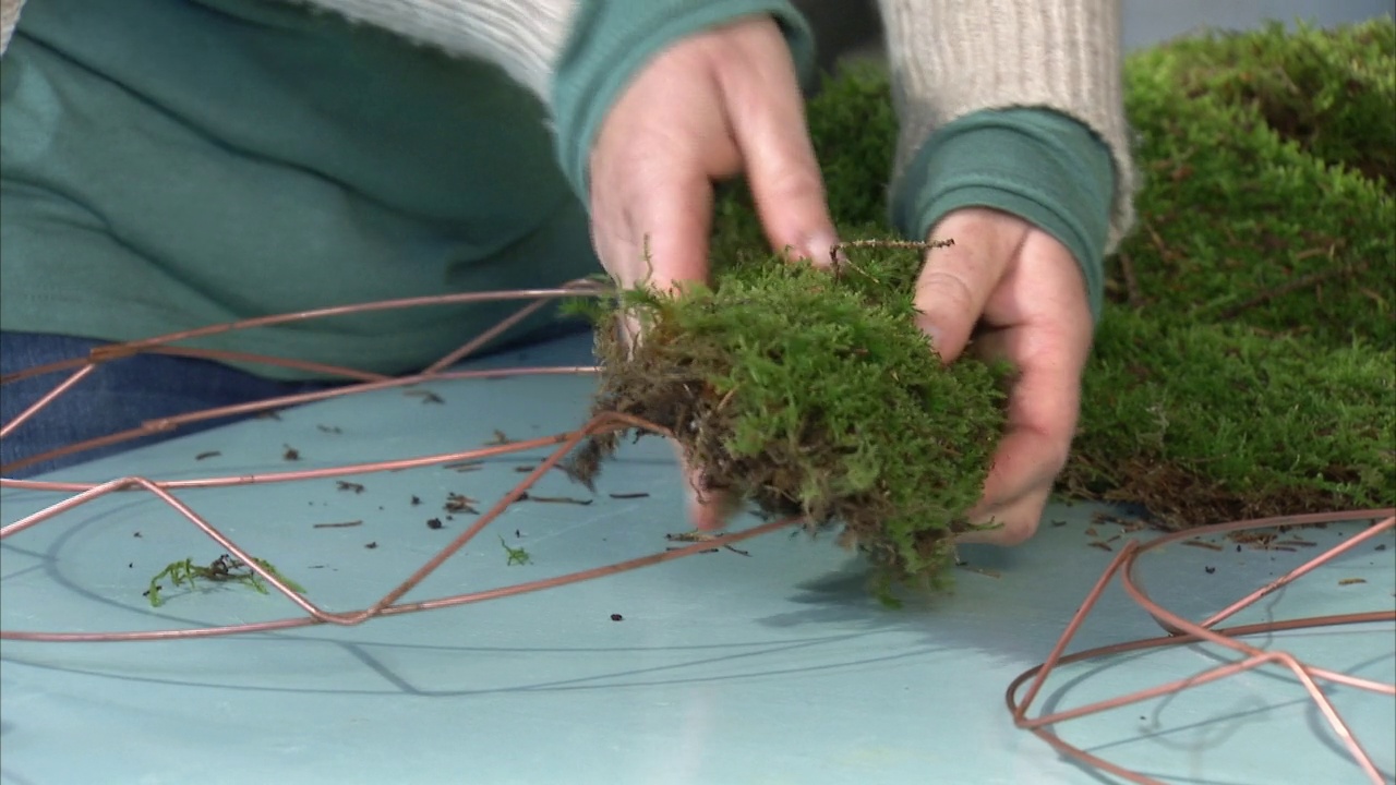 柔软的苔藓铺在花圈上，英国视频下载