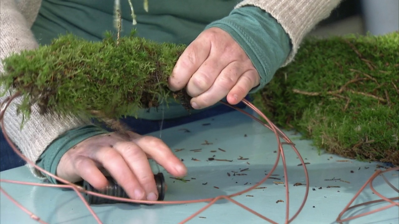 钢丝缠绕苔藓和框架，同时制作花环，英国视频下载