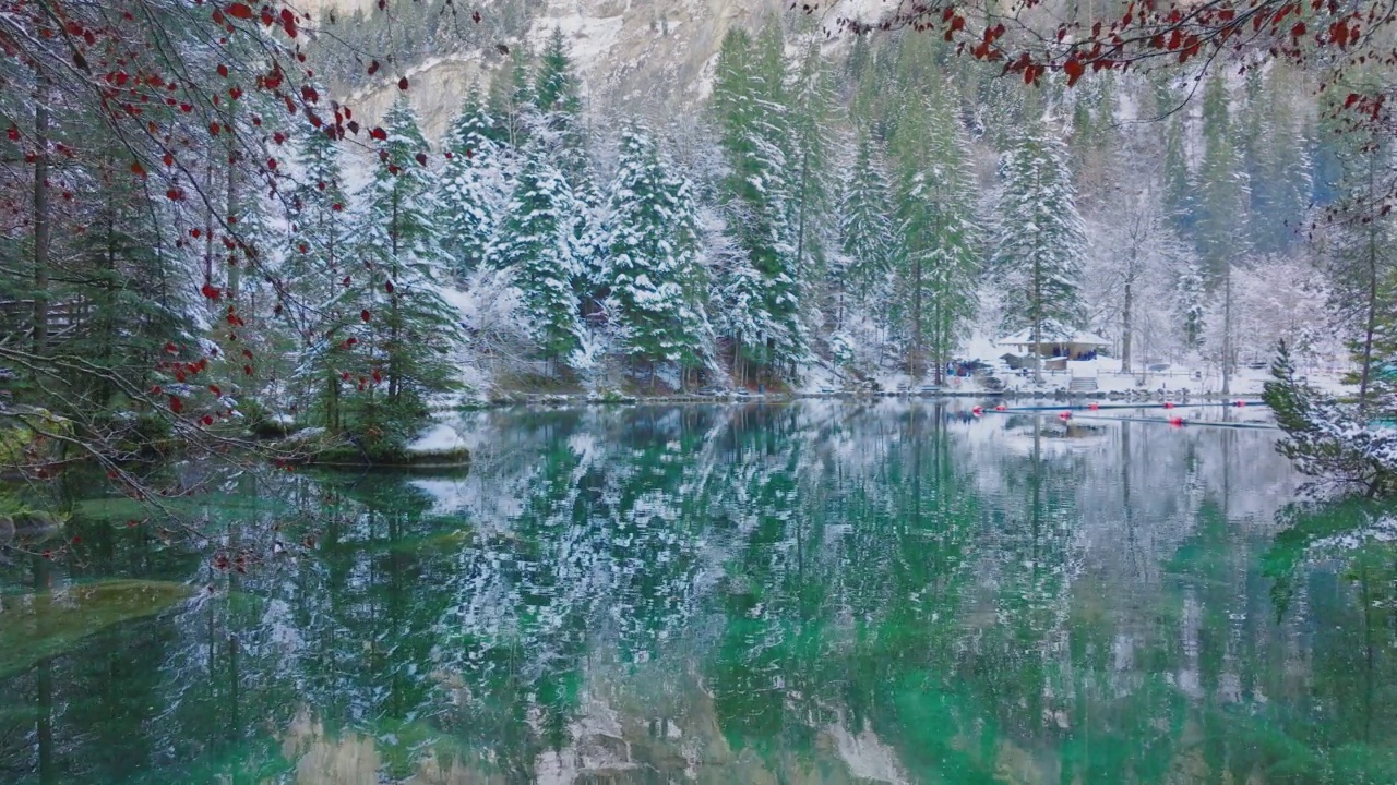 浪漫的Blausee湖自然公园在冬天的伯尔尼高地，瑞士视频素材