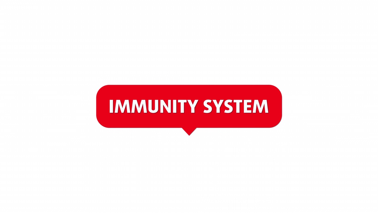 免疫系统视频下载