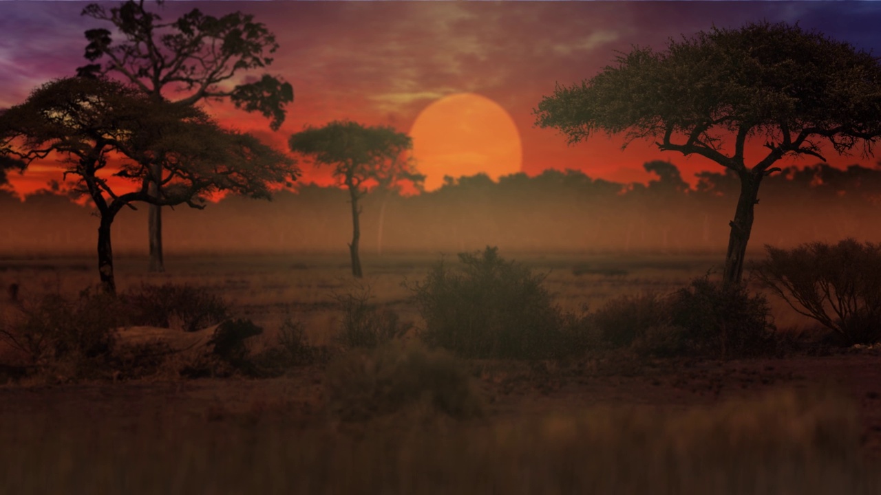 非洲大草原的动画视频下载