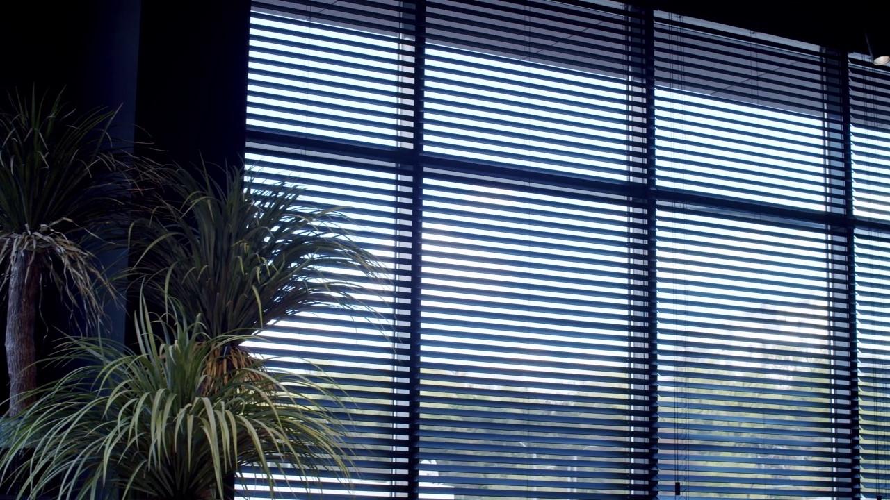 宽敞的窗户与黑色极简主义现代黑色百叶窗在舒适的公寓视频下载