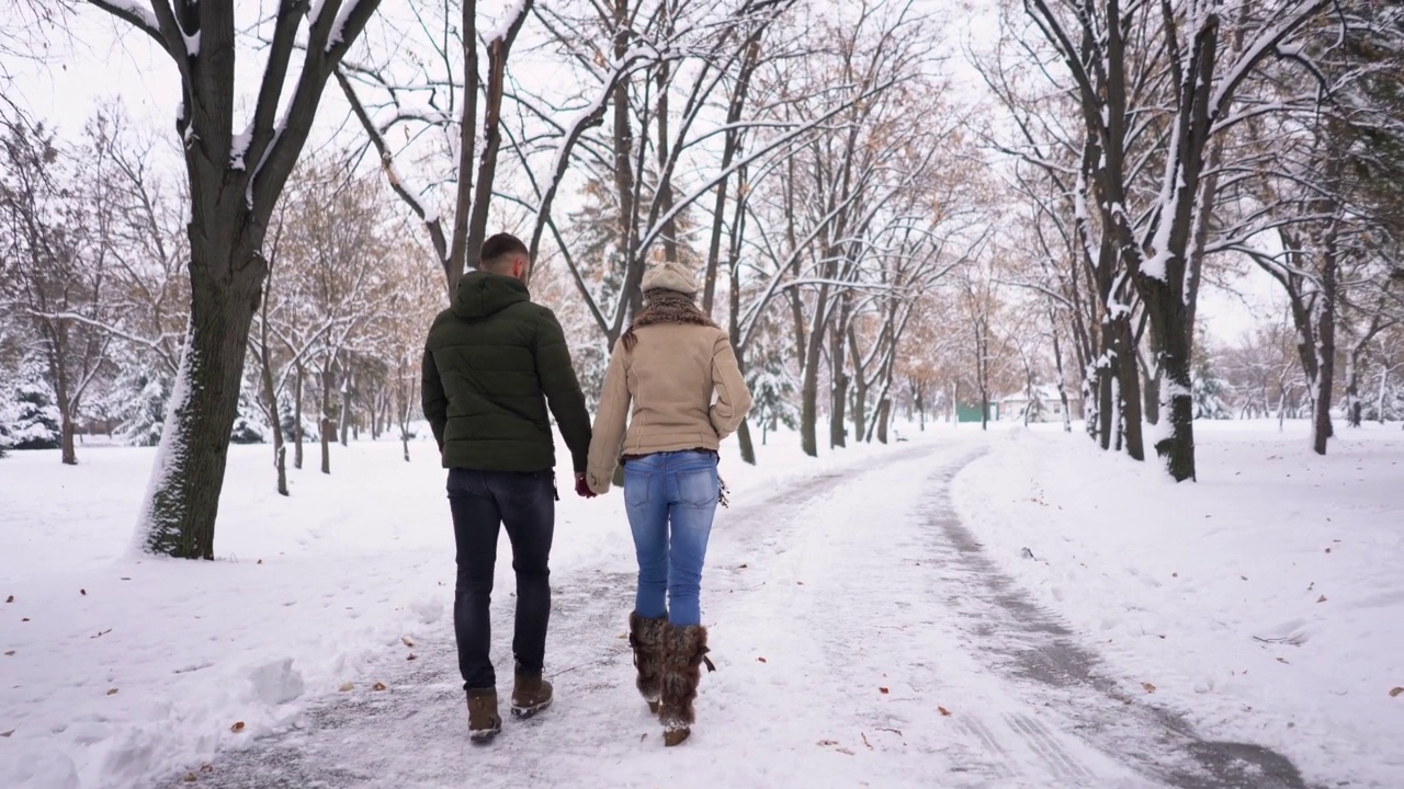一对年轻的夫妇穿过雪地公园视频下载