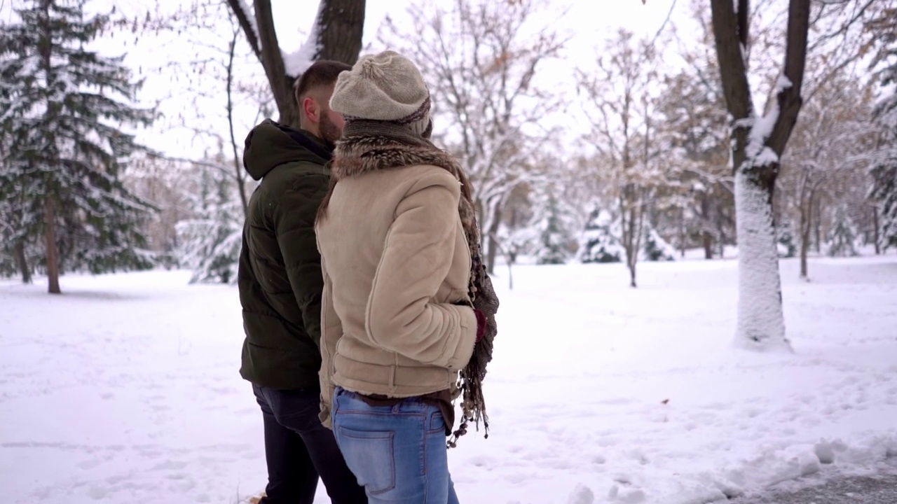 年轻夫妇在雪景公园散步视频下载