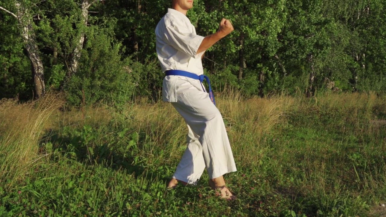 一个穿着和服的空手道男子在户外的格斗姿势。Kyokushinkai视频素材
